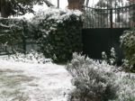 La nevicata 2010